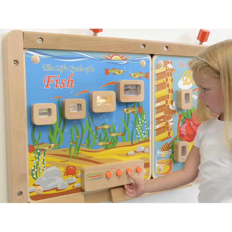 Žuvies gyvavimo ciklo Masterkidz apšviesta edukacinė lenta