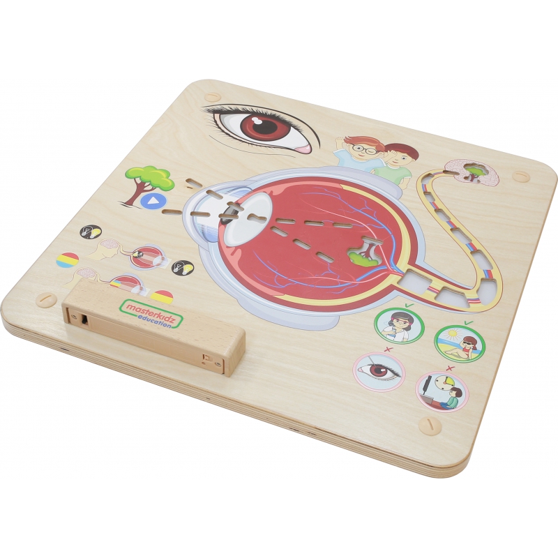 MASTERKIDZ Montessori Sense of Vision ugdymo taryba