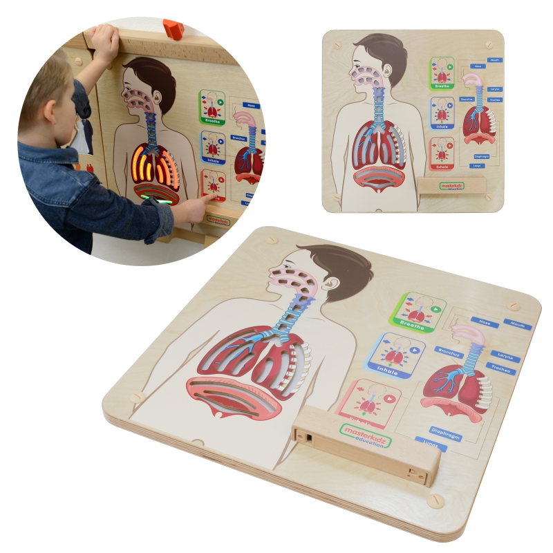 MASTERKIDZ Montessori kvėpavimo sistemos ugdymo taryba