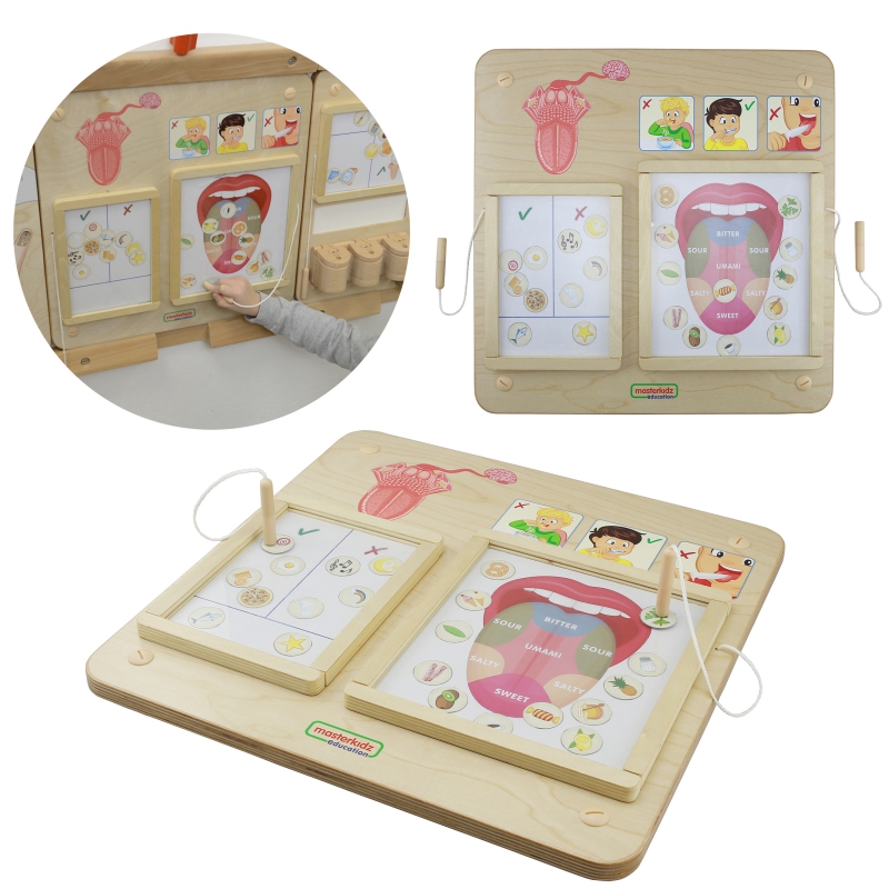 MASTERKIDZ Montessori Sense of Vision ugdymo taryba