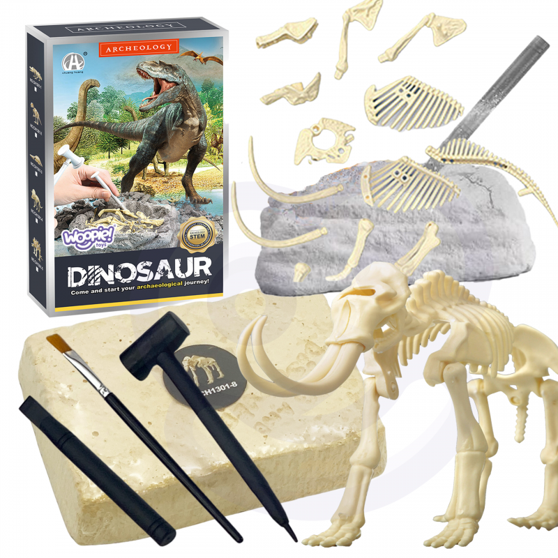 WOOPIE Creative Toy Dinozaurų skeleto archeologiniai kasinėjimai